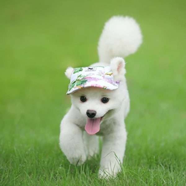 Gorro Jockey - Imagen 4