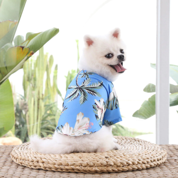 Guayabera Hawaiana - Imagen 2