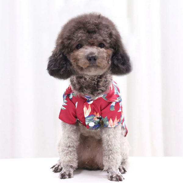 Guayabera Hawaiana - Imagen 4