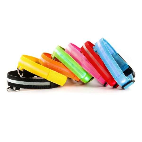 Collar LED - Imagen 3