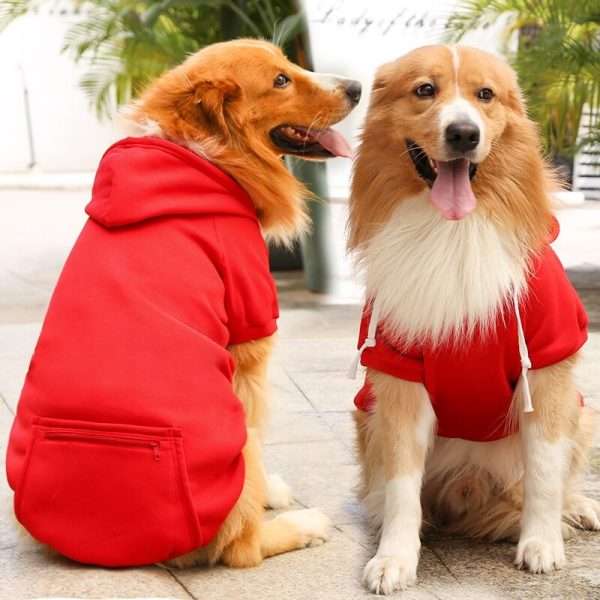 Hoodie Colores
