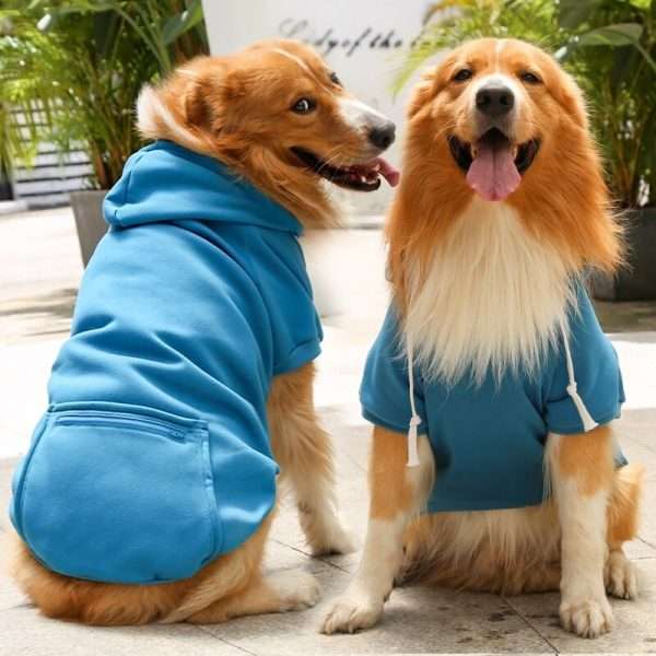 Hoodie Colores - Imagen 3