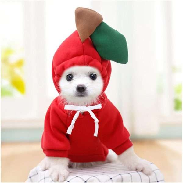 Hoodie Frutales/Animales - Imagen 2