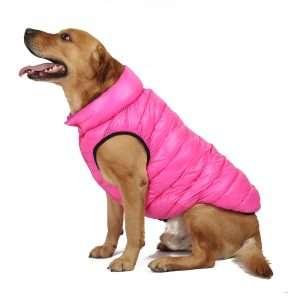 parka reversible para mascotas, perros y gatos