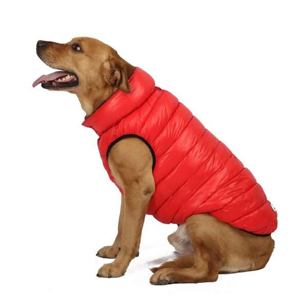 Parka Reversible Impermeable - Imagen 5