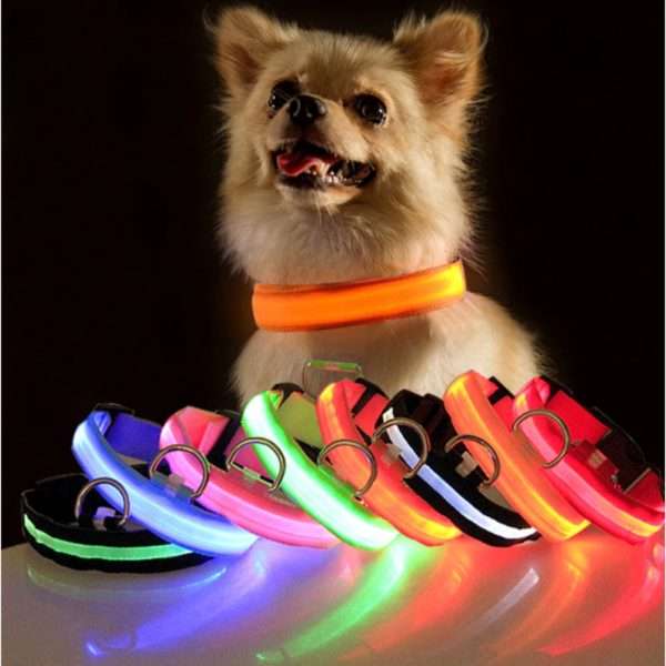 Collar LED