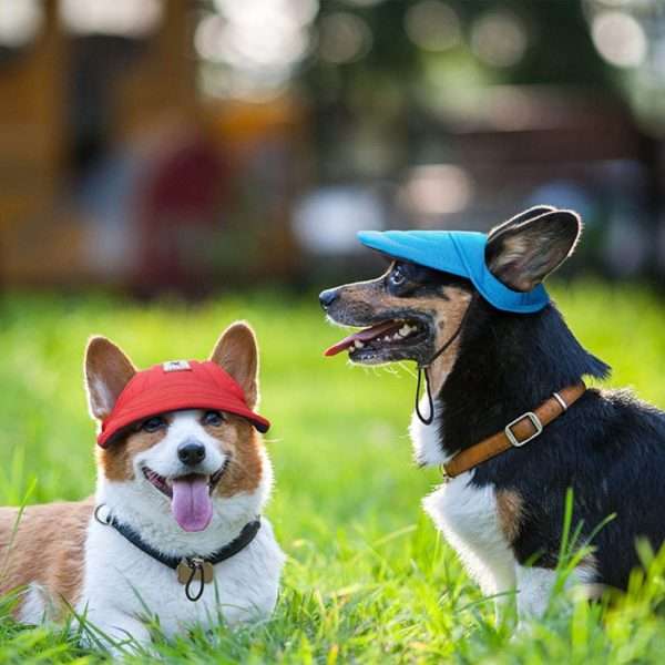 Gorro Jockey