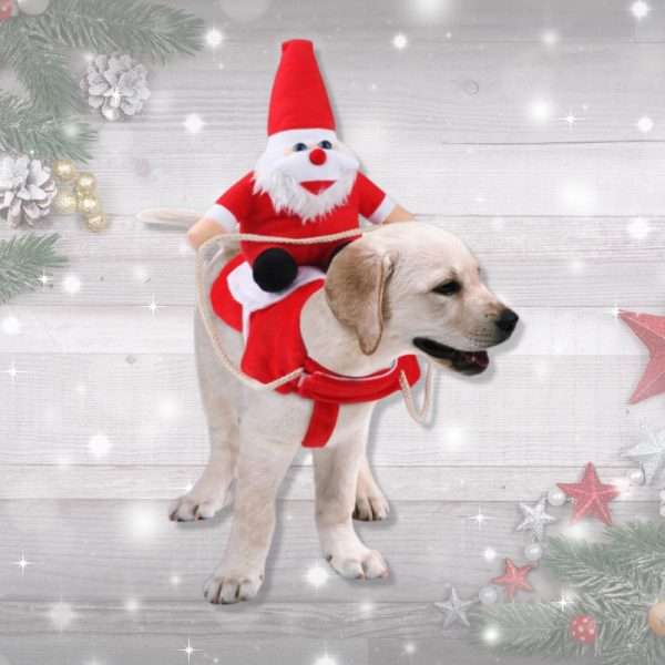 Montura Santa Claus