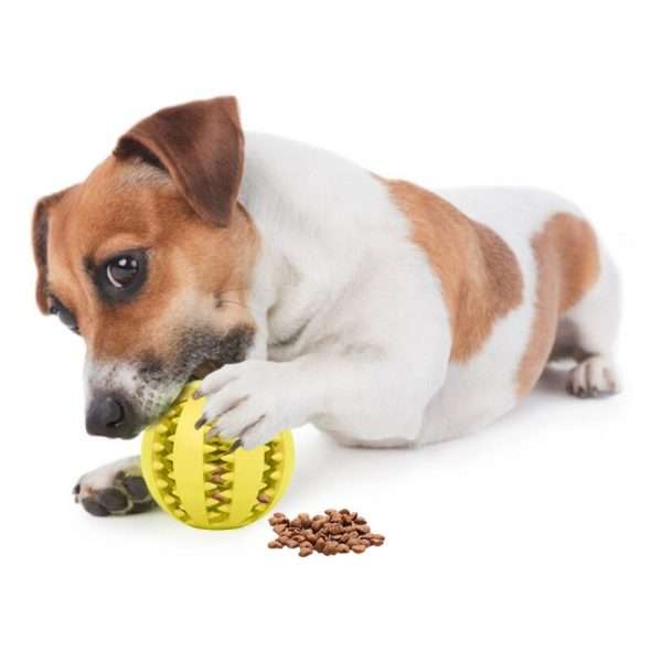 Pelota Dentada Interactiva - Imagen 2