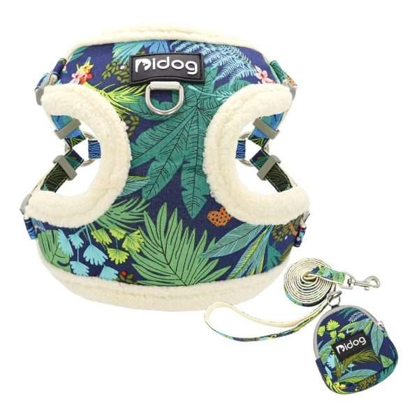 Arnés Chiporro + Correa Jungle
