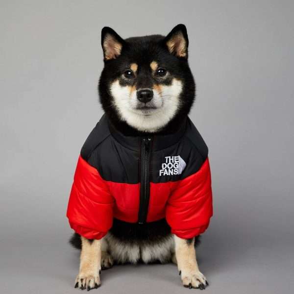 Parka Puffy - Imagen 4