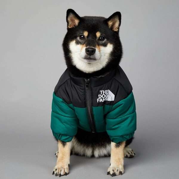 Parka Puffy - Imagen 5