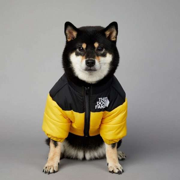 Parka Puffy - Imagen 6