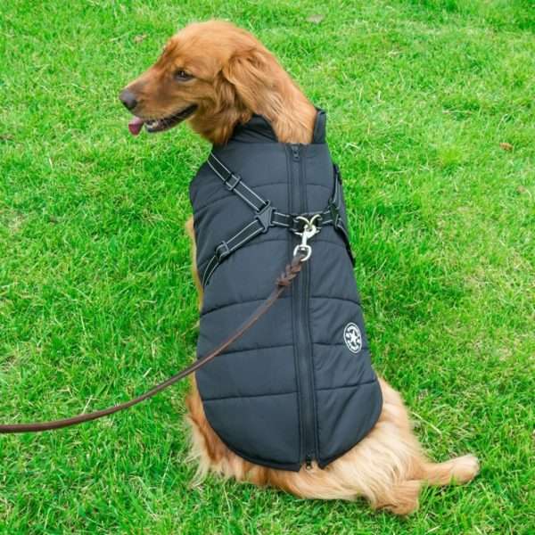 Parka con Arnés - Imagen 4